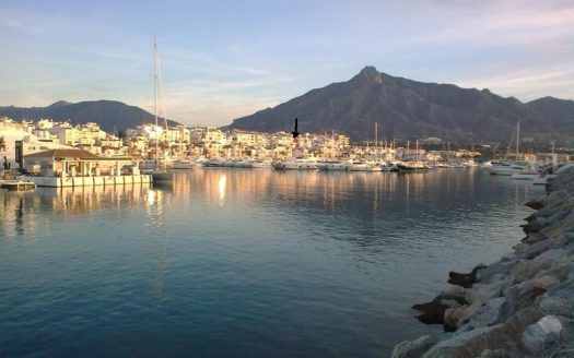 4 bedrooms Villa in Nueva Andalucia