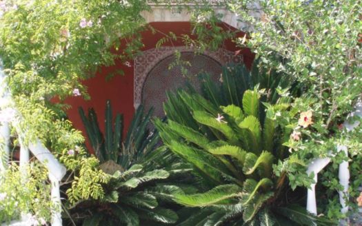 Villa de 8 dormitorios en Milla de Oro