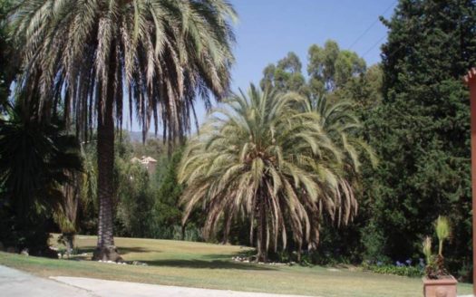 Villa de 8 dormitorios en Milla de Oro