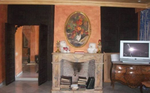 Villa de 8 dormitorios en Milla de Oro