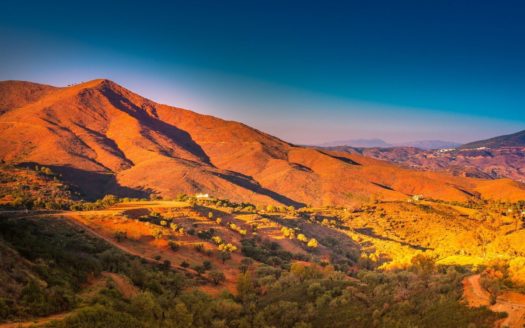 2 bedrooms Apartment in La Mairena