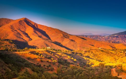 3 bedrooms Apartment in La Mairena