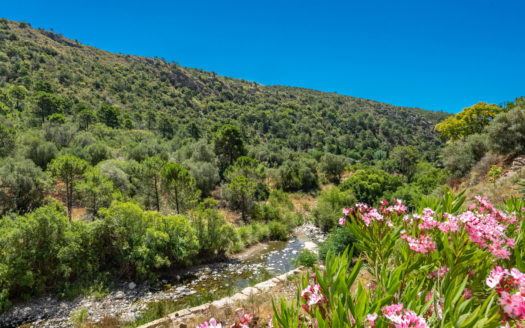 Apartamento de 3 dormitorios en Benahavis