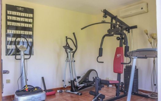 5 bedrooms Villa in Milla de Oro