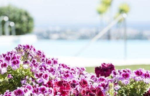 2 bedrooms Apartment in Benahavis