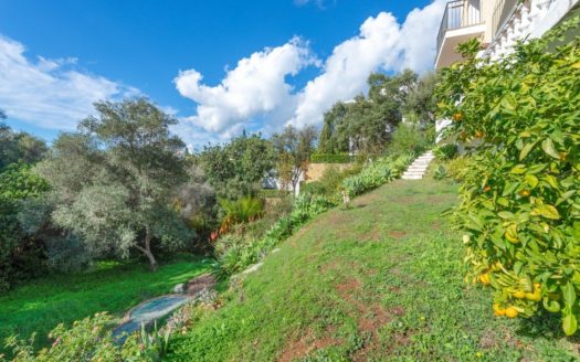 7 bedrooms Villa in El Rosario