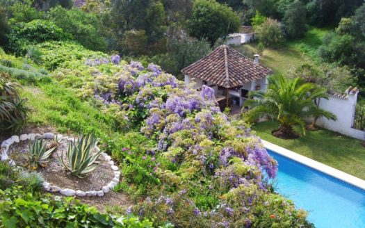 7 bedrooms Villa in El Rosario