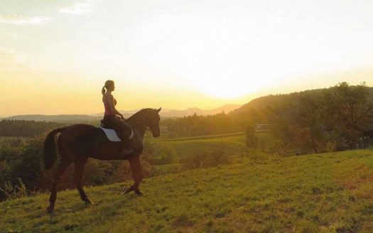 Villa de 4 dormitorios en El Campanario