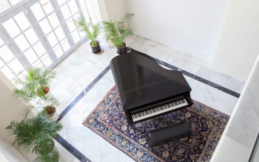 Villa de 6 dormitorios en La Mairena