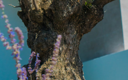 Apartamento de 2 dormitorios en Cancelada