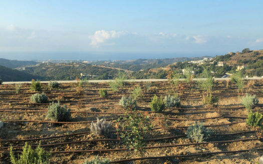4 bedrooms Villa in Monte Mayor