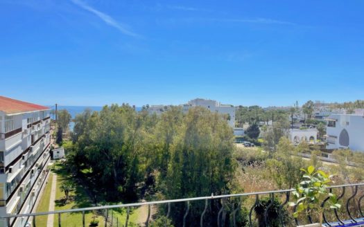 2 bedrooms Penthouse in Milla de Oro