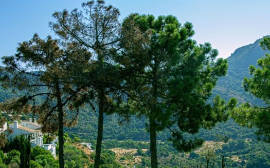 4 bedrooms Villa in Benahavis