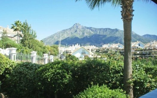 4 bedrooms Apartment in Milla de Oro