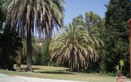 7 bedrooms Villa in Milla de Oro