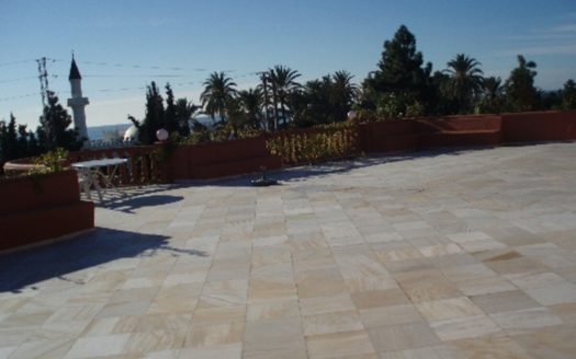 7 bedrooms Villa in Milla de Oro