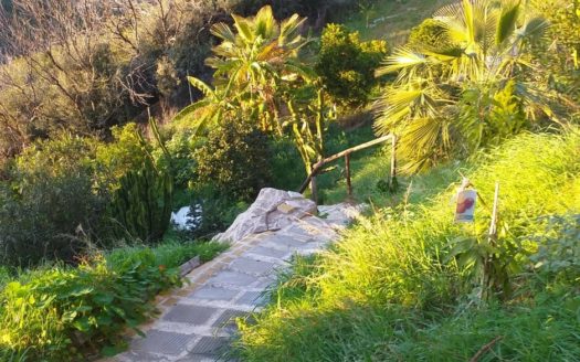 4 bedrooms Villa in El Rosario