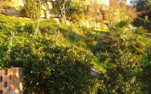 4 bedrooms Villa in El Rosario