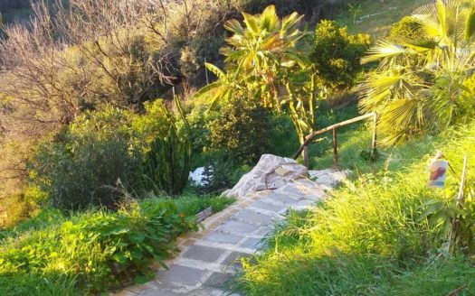 4 bedrooms Villa in El Rosario