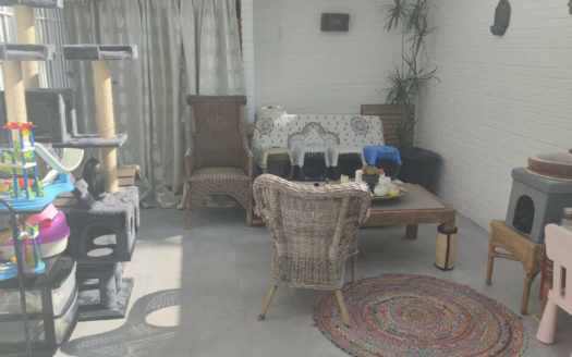 2 bedrooms Apartment in Milla de Oro