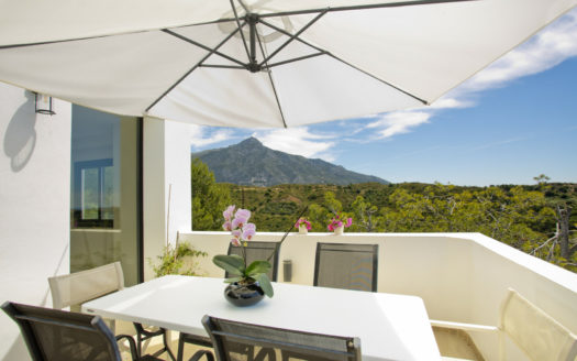 5 bedrooms Villa in Nueva Andalucia