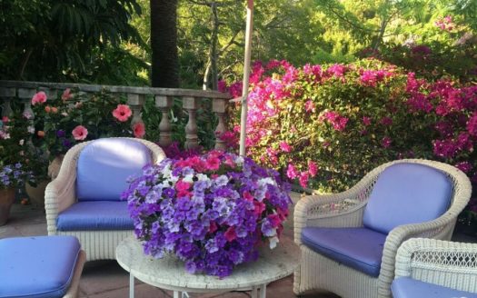 2 bedrooms Villa in Milla de Oro