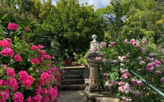 2 bedrooms Villa in Milla de Oro