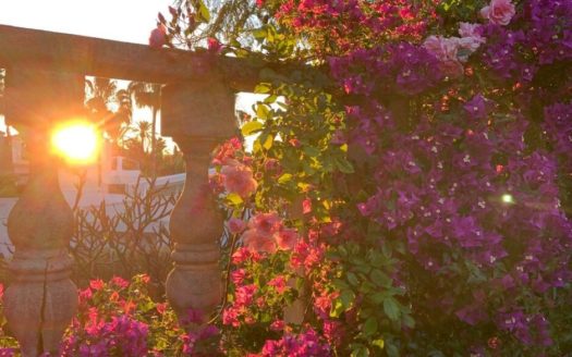 2 bedrooms Villa in Milla de Oro