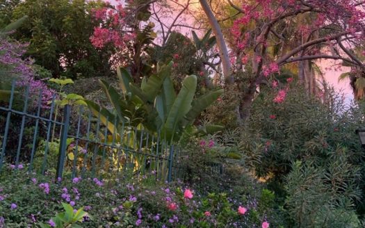 2 bedrooms Villa in Milla de Oro