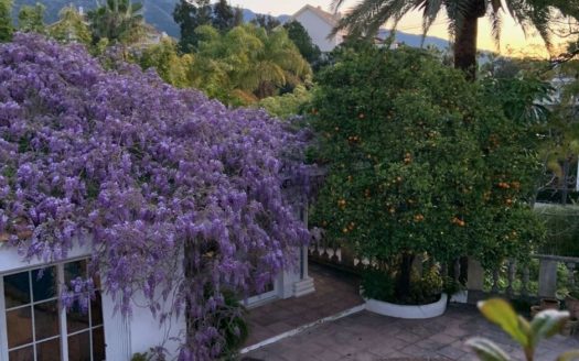 2 bedrooms Villa in Milla de Oro