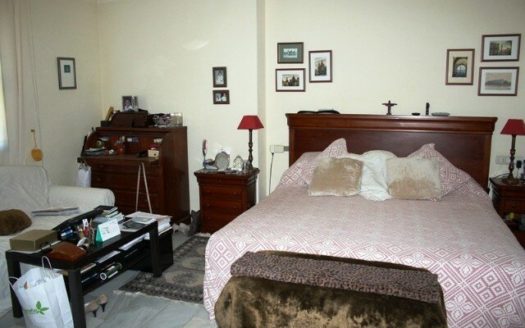 4 bedrooms Villa in Milla de Oro