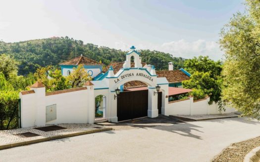 Villa de 4 dormitorios en Benahavis