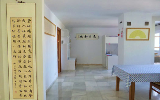 Villa de 6 dormitorios en Nueva Andalucia