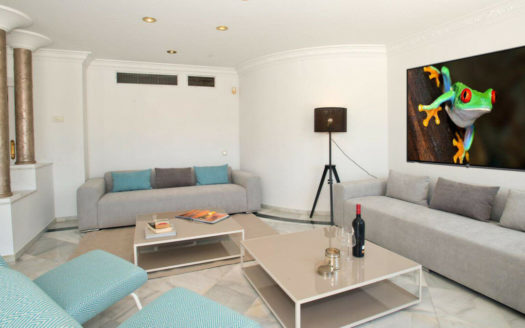 Villa de 5 dormitorios en Nueva Andalucia