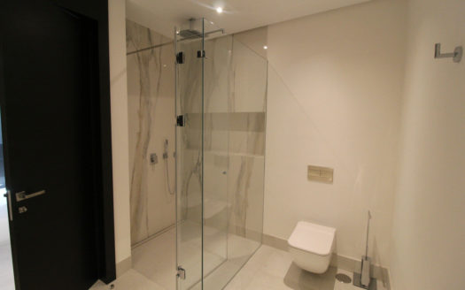 5 bedrooms Penthouse in Milla de Oro